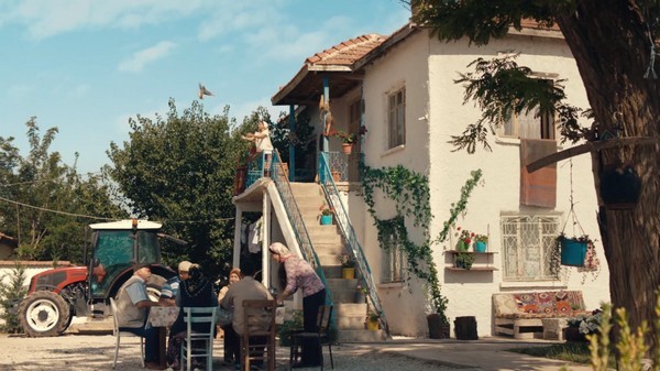 Torku - Tam Ruşeymli Bisküvi